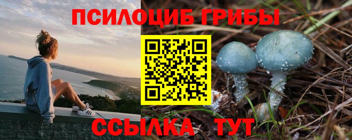 Луга  Псилоцибиновые грибы прущие грибы  Вход с VPN  хочу   Галлюциногенные грибы мицелий 